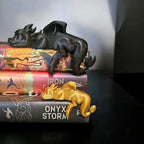 Dragon De Bibliothèque