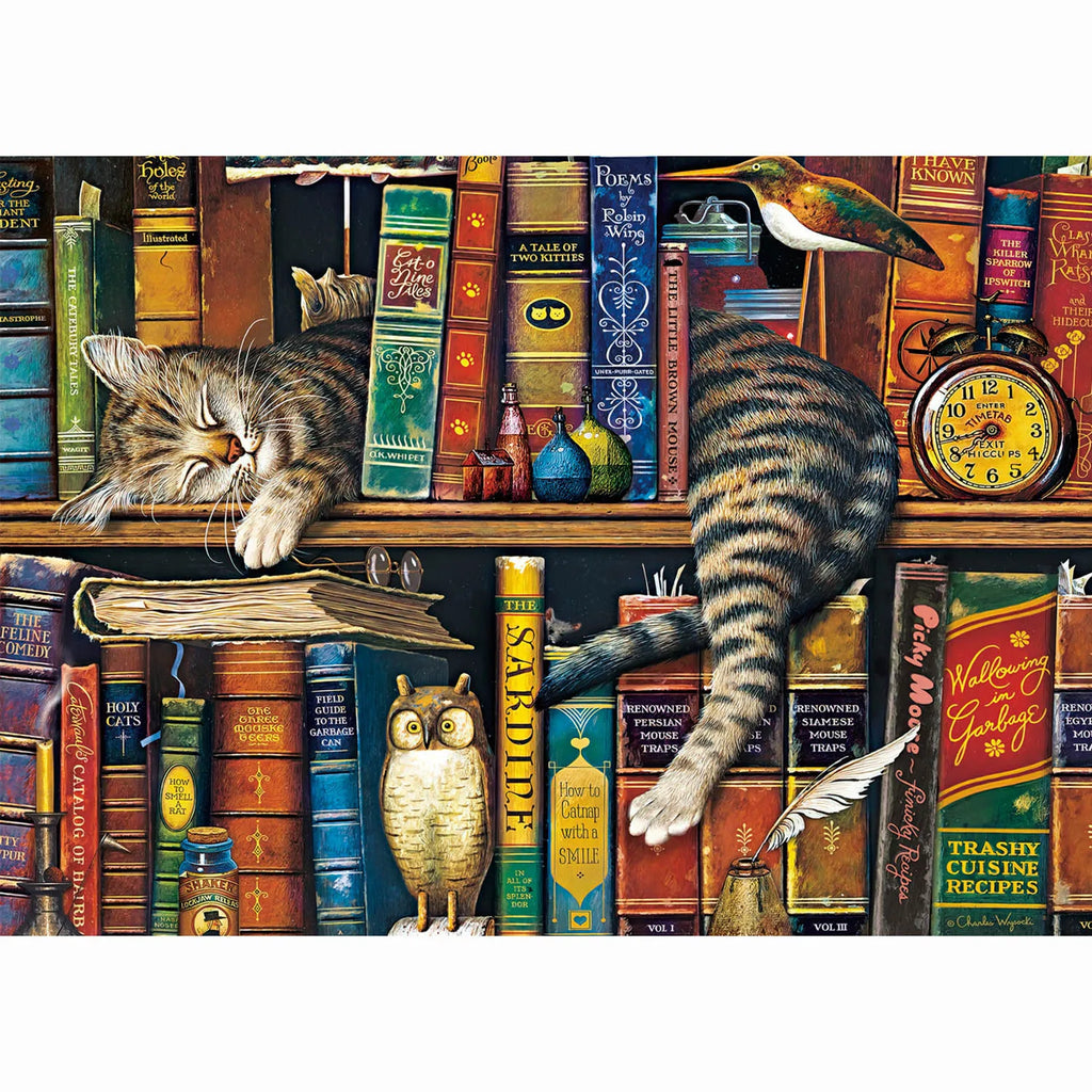 Puzzle 1000 pièces Chat de bibliothèque 1