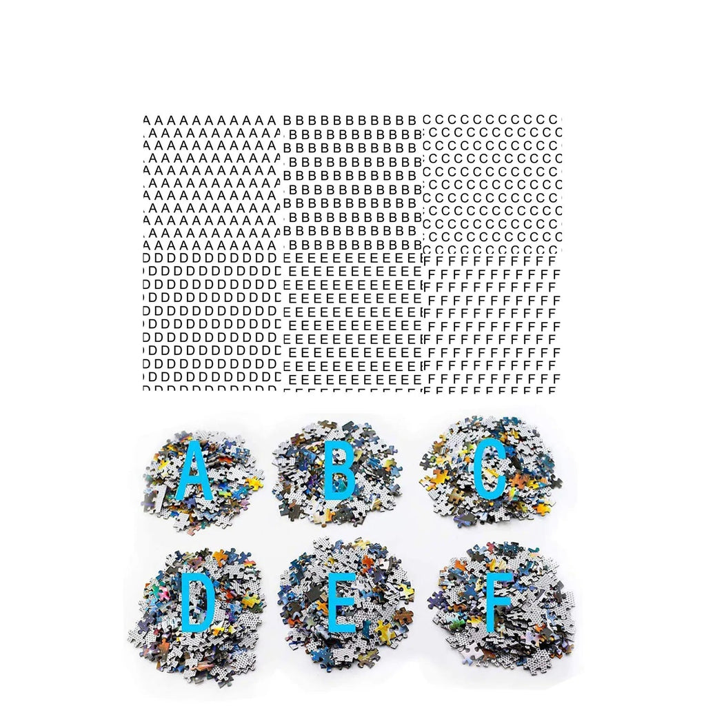 Puzzle 1000 Pieces - Chat De Bibliothèque (70x50cm)