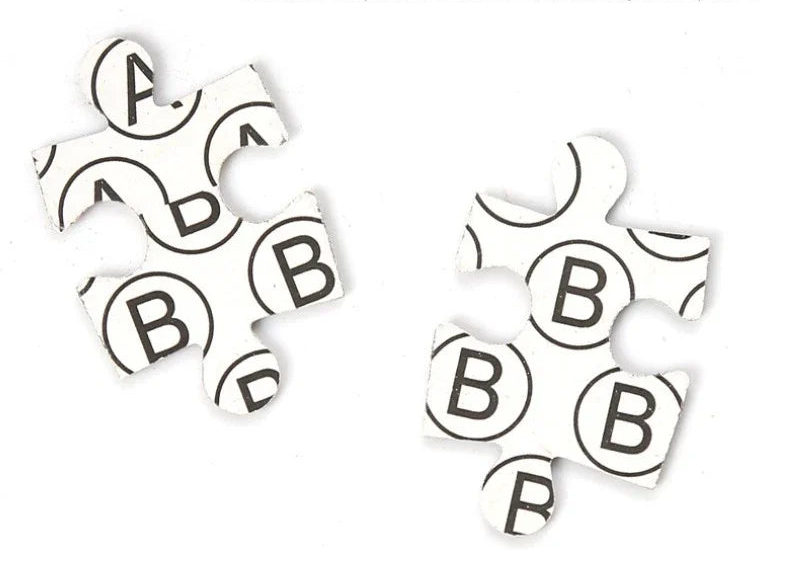 Puzzle 1000 pièces - Le canal (75x50cm)